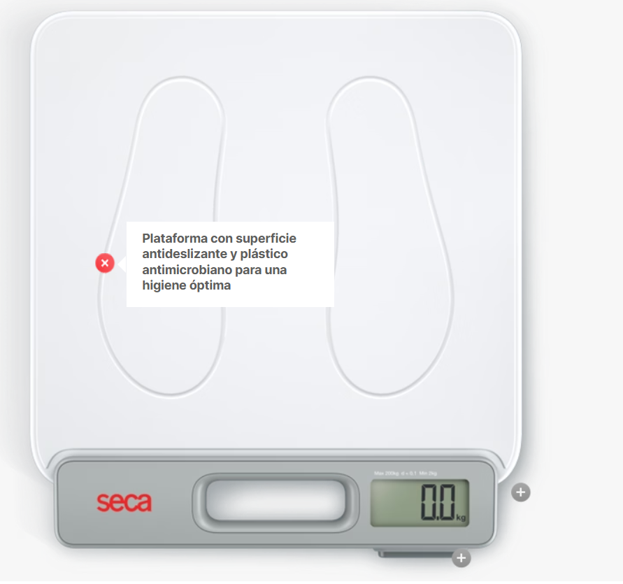 Captura de pantalla 2025-08-21 154225