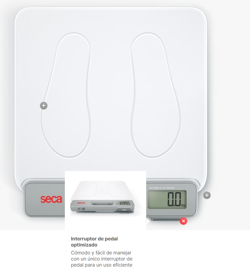 Captura de pantalla 2025-08-21 154248