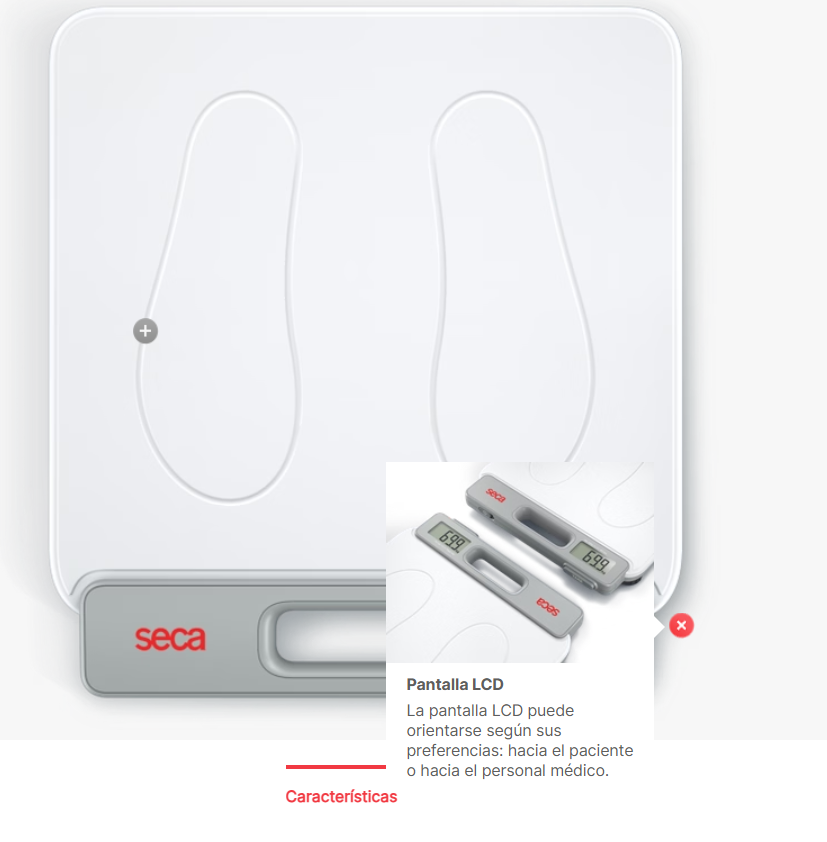 Captura de pantalla 2025-08-21 154303